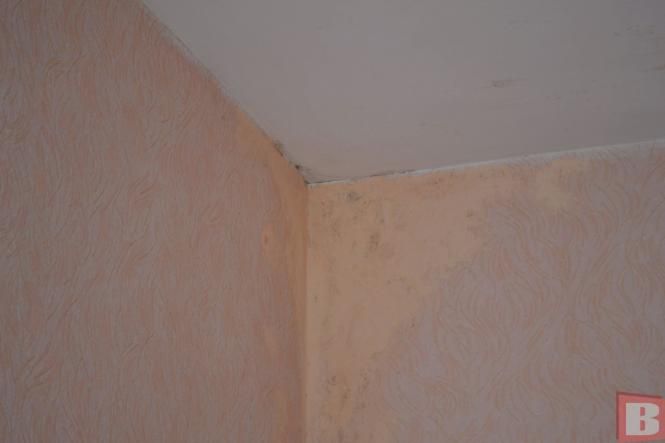 Новини Хмельницького - фото з “Наші діти дихають пліснявою”. Батьки просять звільнити директорку хмельницького садочка