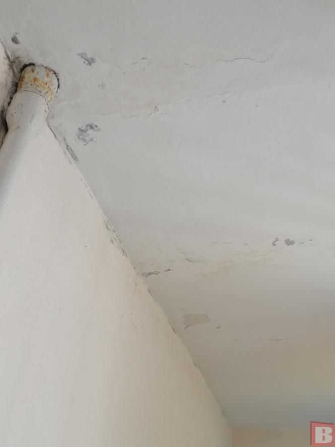 Новини Хмельницького - фото з “Наші діти дихають пліснявою”. Батьки просять звільнити директорку хмельницького садочка