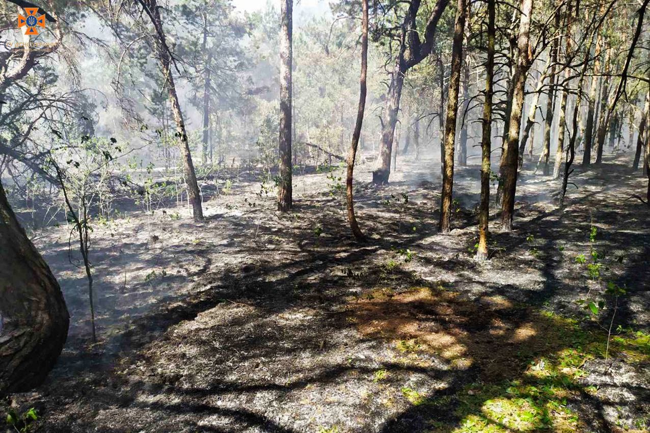 Новини Хмельницького - фото з Пожежа на Свободи: згорів балкон у дев’ятиповерхівці (ФОТО, ВІДЕО)