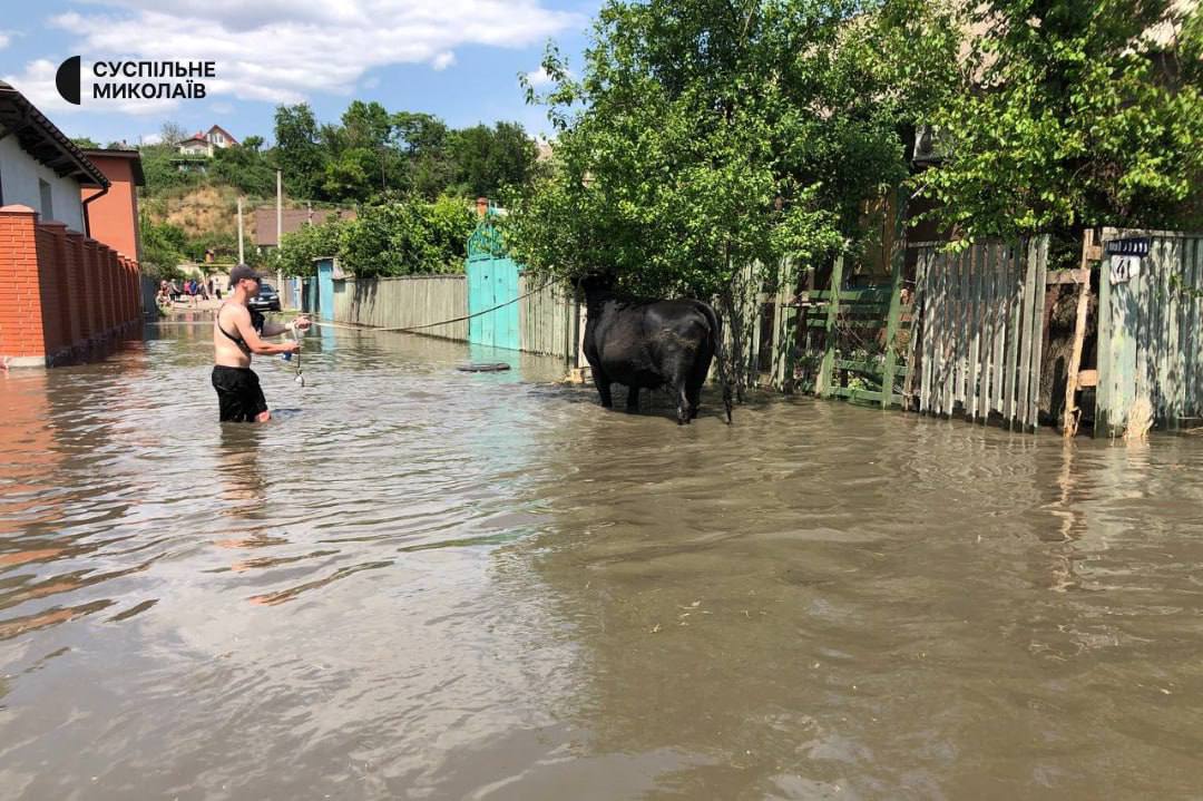 Новини Хмельницького - фото з На Хмельниччині можуть прийняти до 10 тисяч евакуйованих херсонців, — ОВА