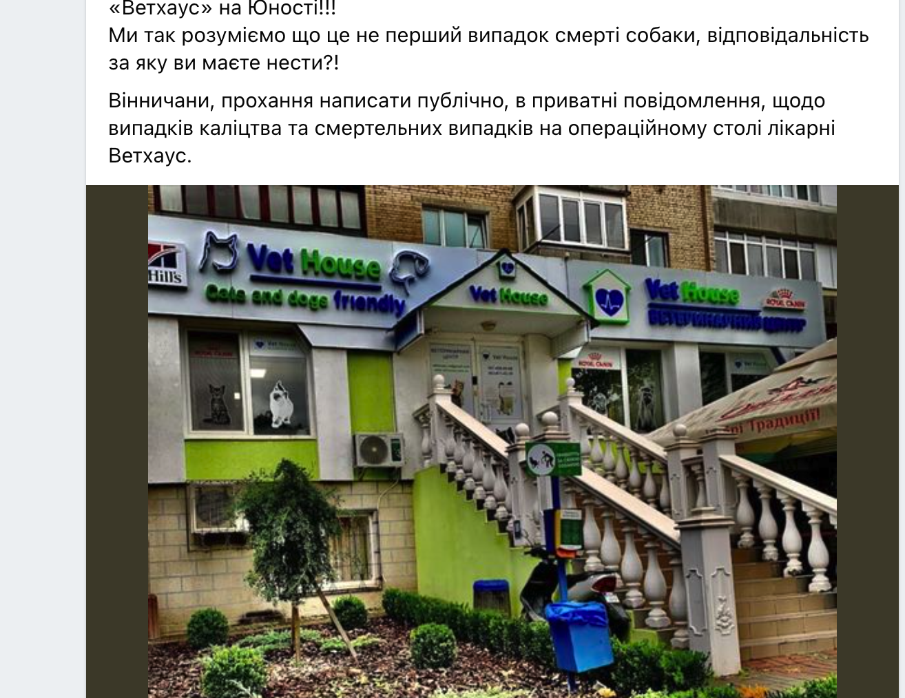 Новини Вінниці - фото з «Вони вбили нашу собаку». Чому в ветеринарній клініці Ветхаус померла джек рассел Оливка?