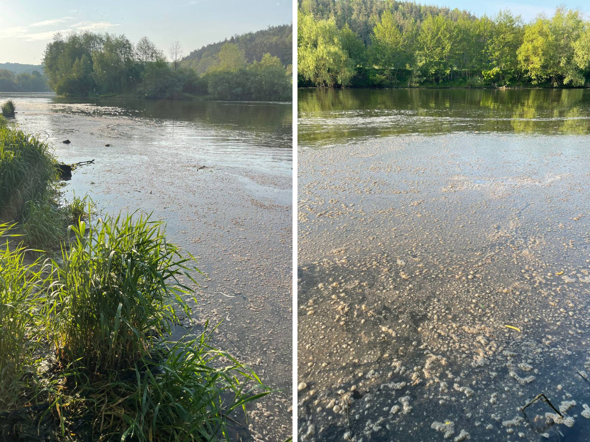Новини Вінниці - фото з За Сабарівською ГЕС забруднюють річку Південний Буг?