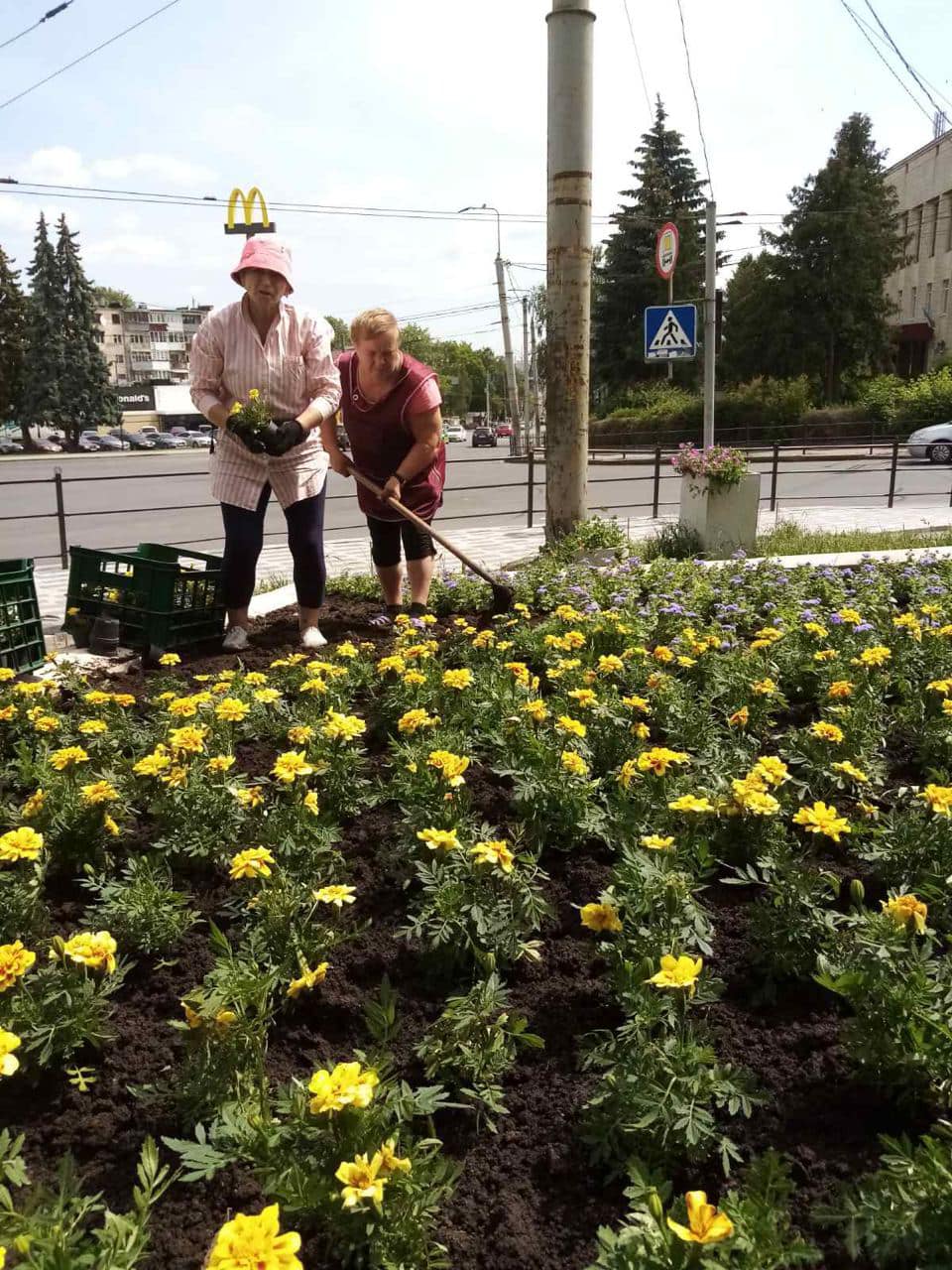 Новини Тернополя - фото з У Тернополі висадили нові квітники і встановили вертикальні клумби