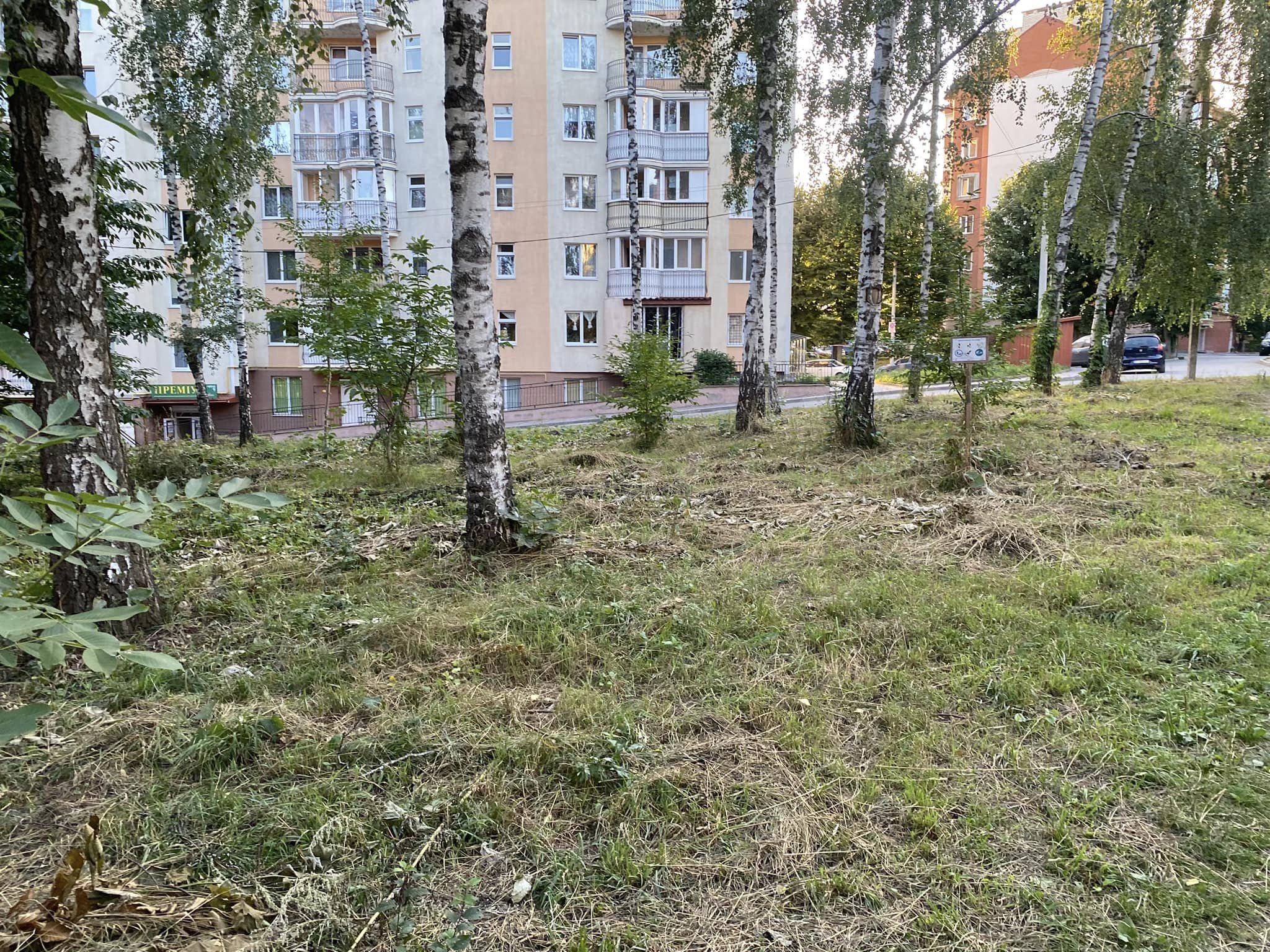 Новини Тернополя - фото з Колись хотіли ринок, але на «Східному» з’явився сквер. Як вдалося добитися і скільки це коштувало?