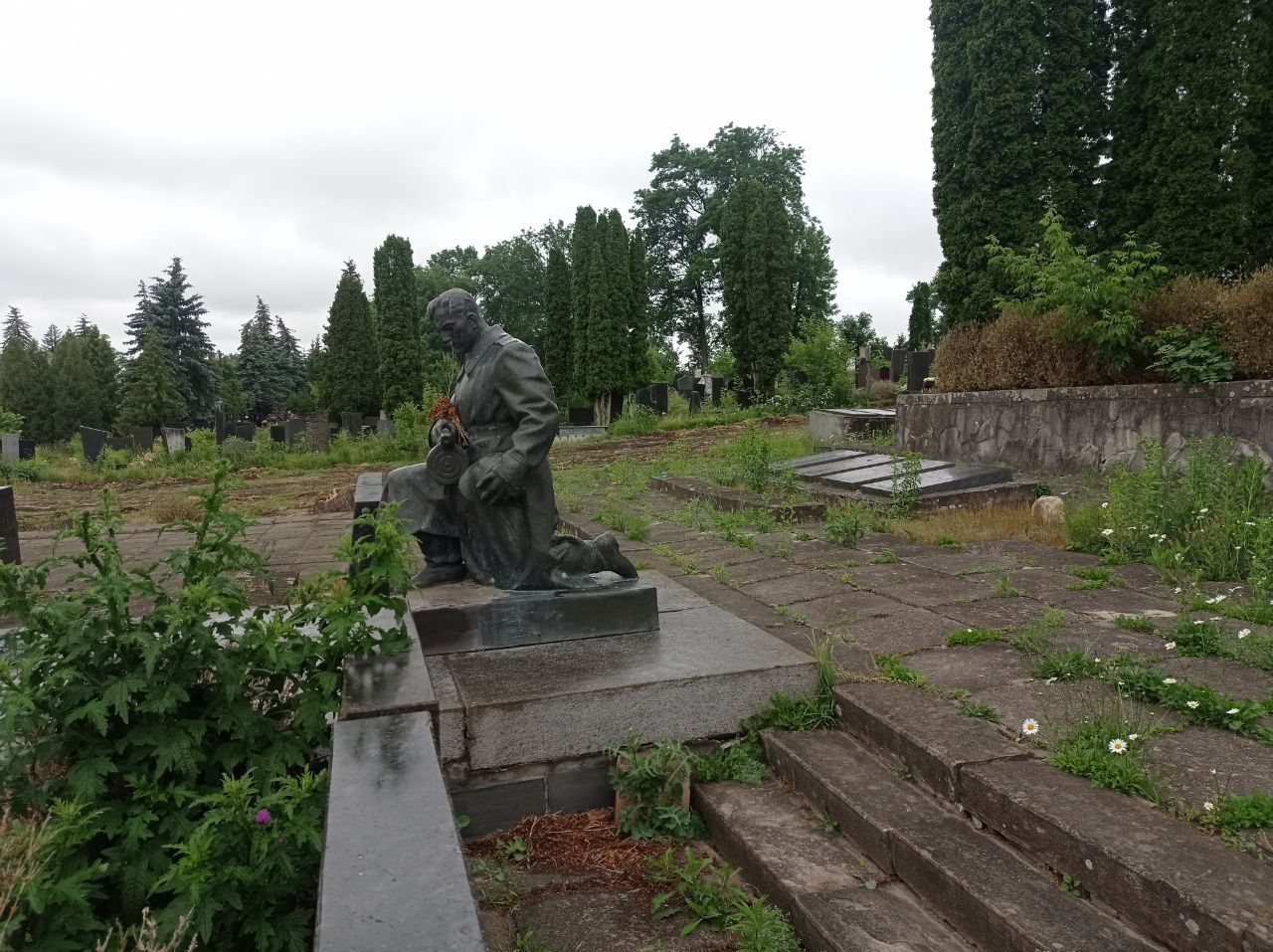 Новини Тернополя - фото з Демонтували плити та зрізали дерева: подробиці ексгумації останків радянських солдат у Тернополі