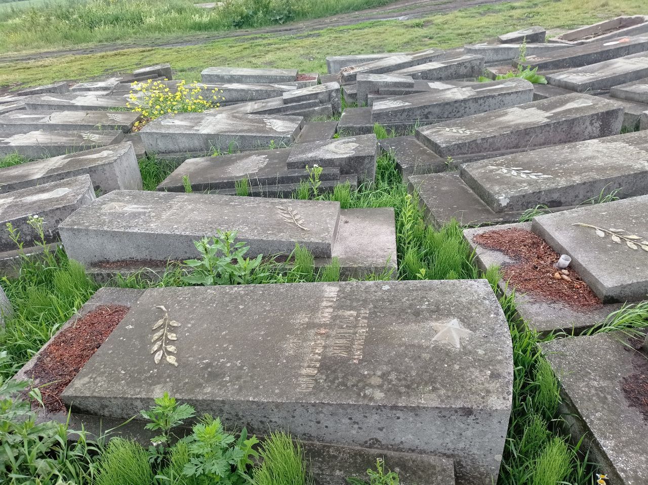 Новини Тернополя - фото з Демонтували плити та зрізали дерева: подробиці ексгумації останків радянських солдат у Тернополі