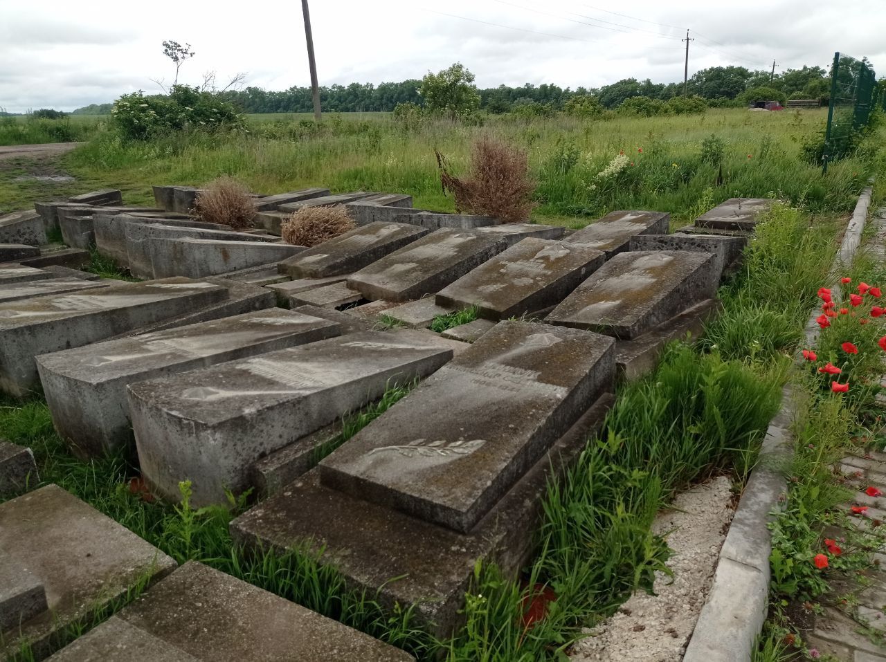 Новини Тернополя - фото з Демонтували плити та зрізали дерева: подробиці ексгумації останків радянських солдат у Тернополі