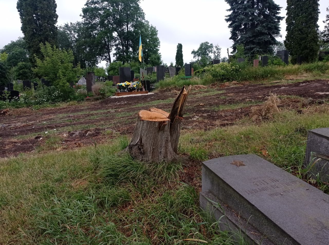 Новини Тернополя - фото з Демонтували плити та зрізали дерева: подробиці ексгумації останків радянських солдат у Тернополі