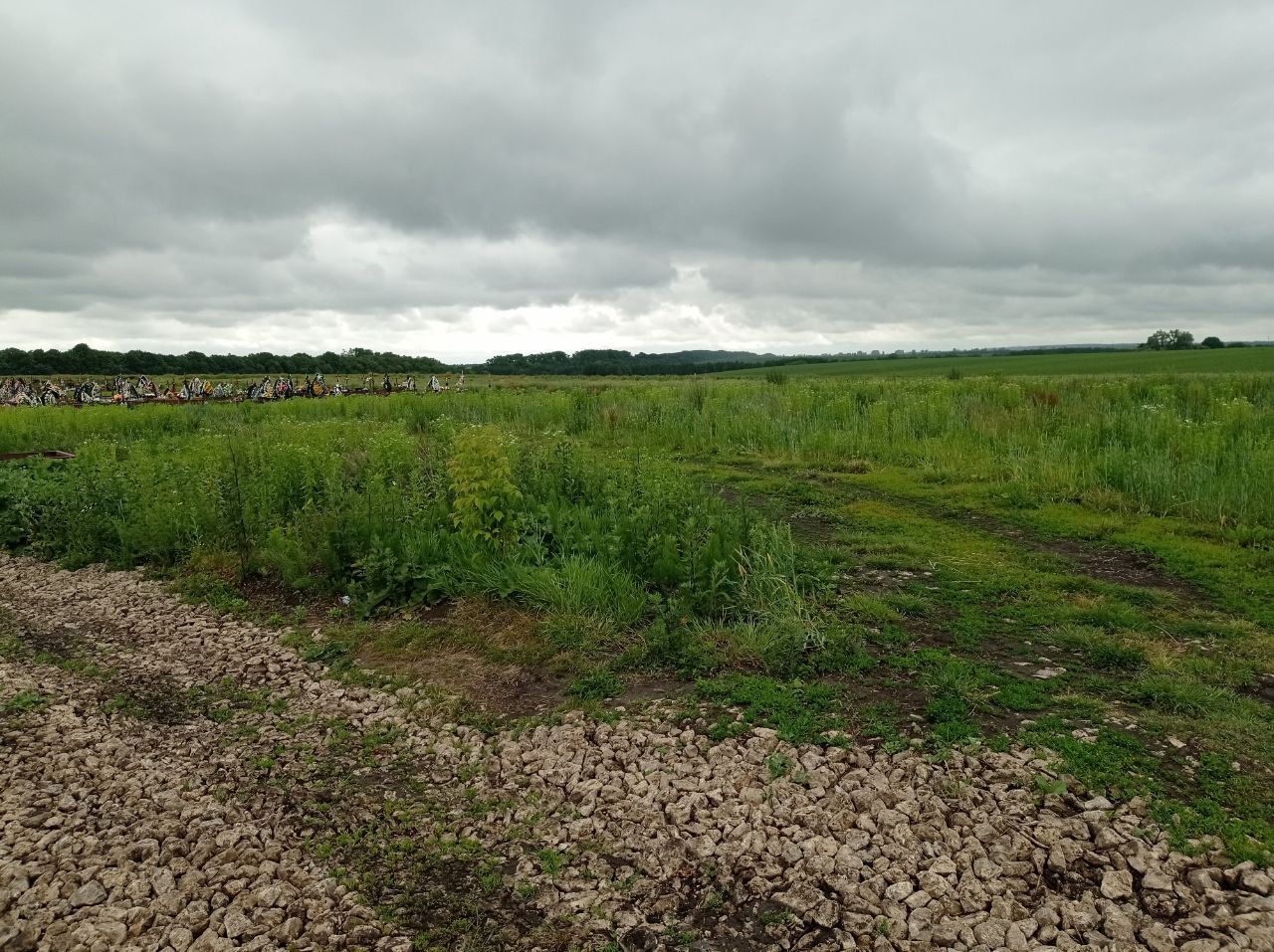 Новини Тернополя - фото з Демонтували плити та зрізали дерева: подробиці ексгумації останків радянських солдат у Тернополі