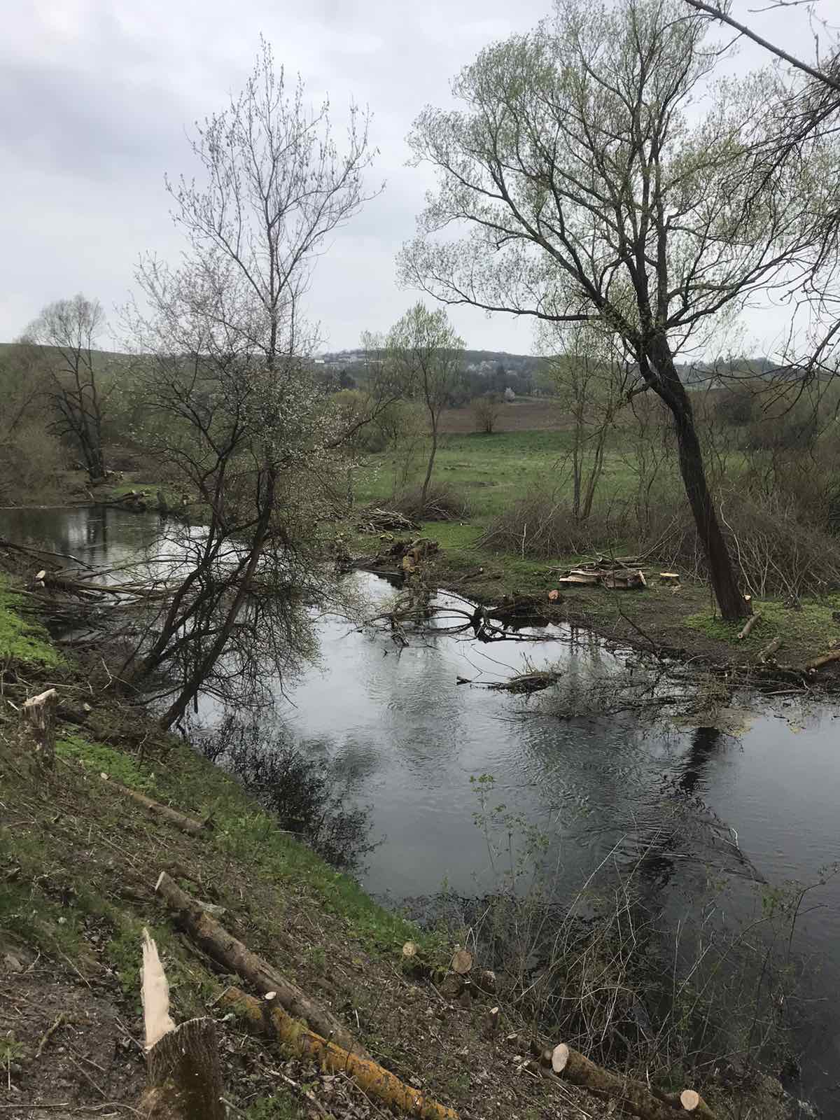 Новини Хмельницького - фото з У “Подільських Товтрах” вирубали дерев на 70 мільйонів, — ДБР Возможно, это изображение трава, туман, водоем, дерево и река Тибр