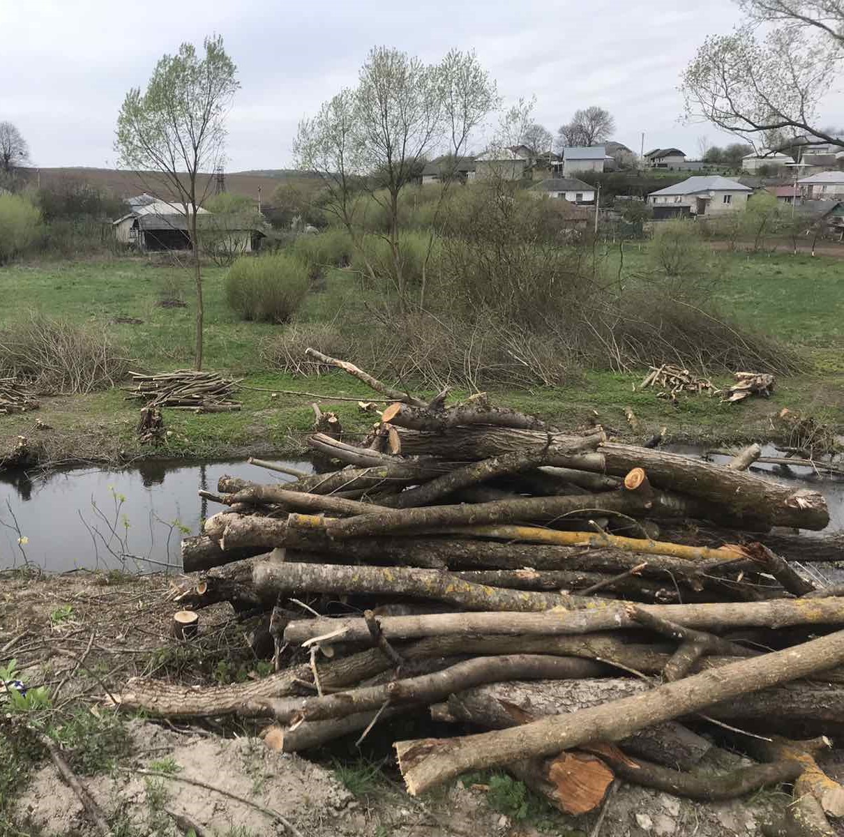 Новини Хмельницького - фото з У “Подільських Товтрах” вирубали дерев на 70 мільйонів, — ДБР Возможно, это изображение дерево