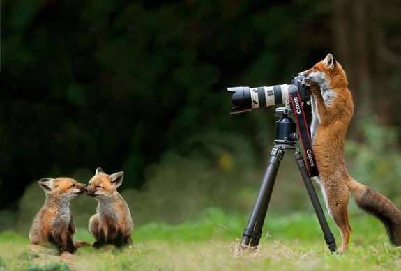 Новини Тернополя - фото з Сьогодні, 15 червня: яке церковне свято, що не можна робити, кого привітати з іменинами
