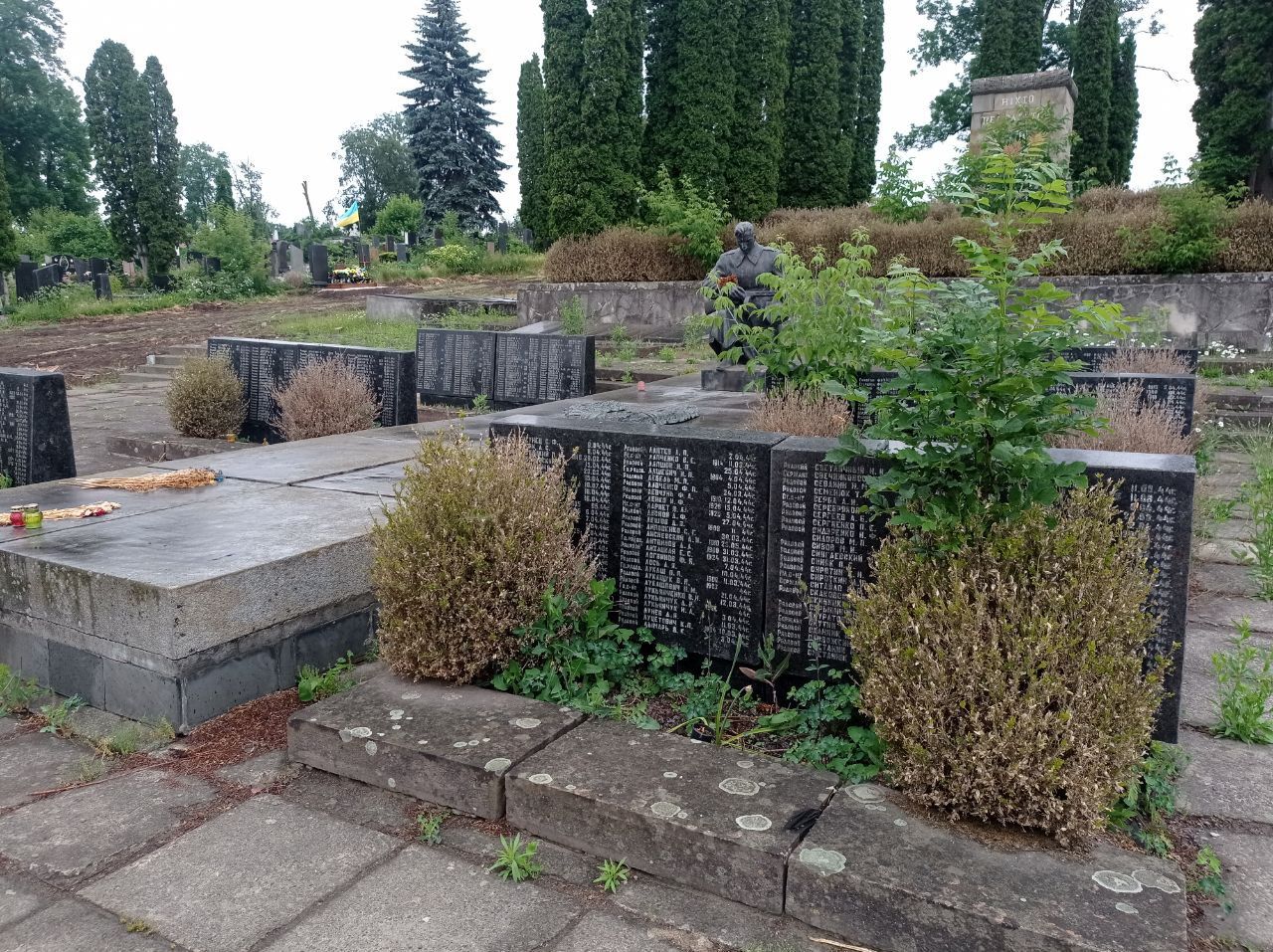 Новини Тернополя - фото з Демонтували плити та зрізали дерева: подробиці ексгумації останків радянських солдат у Тернополі