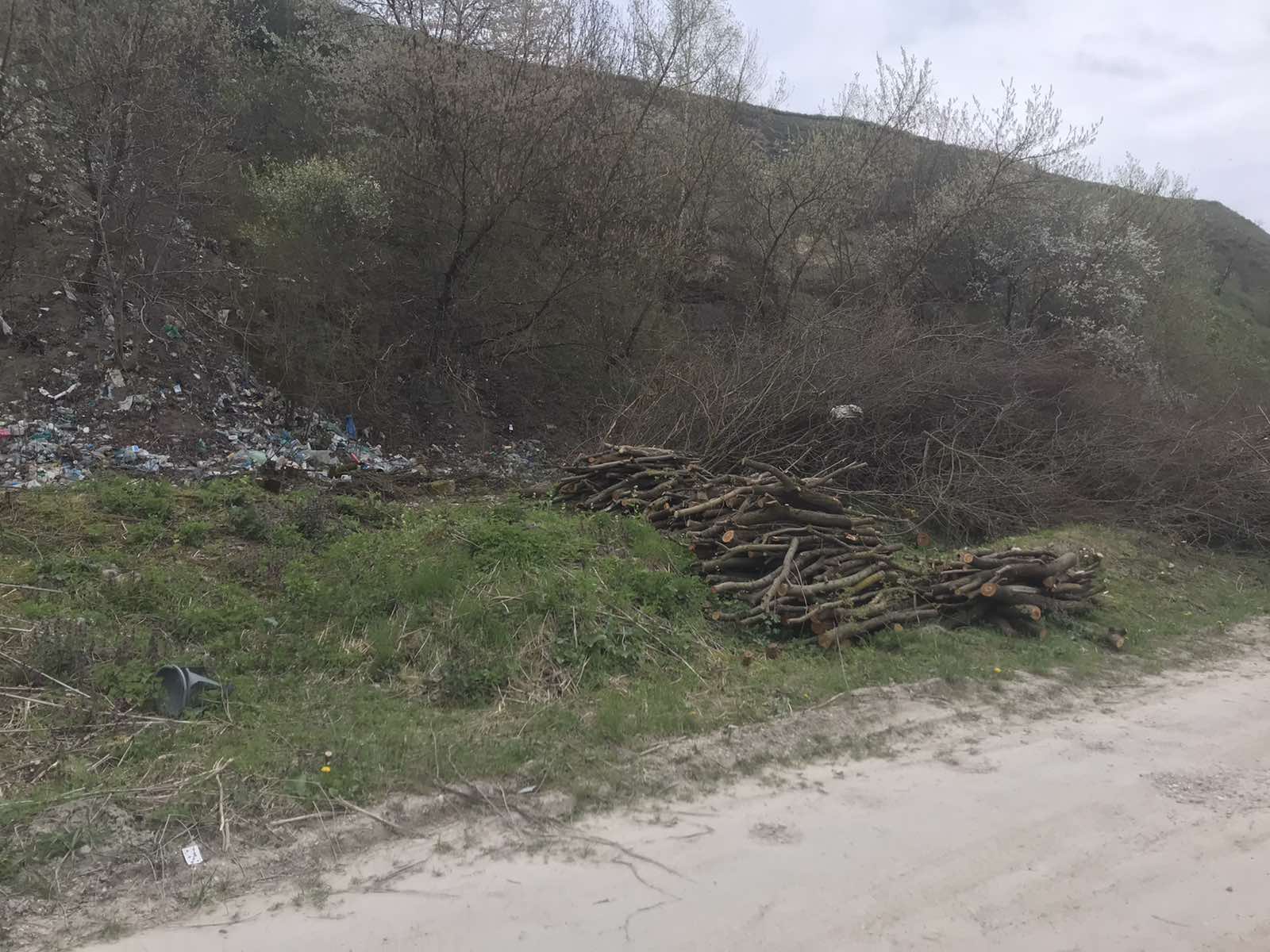 Новини Хмельницького - фото з У “Подільських Товтрах” вирубали дерев на 70 мільйонів, — ДБР Возможно, это изображение дерево и трава