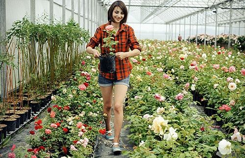 Новини Тернополя - фото з Пропонують по 1000 євро на місяць. Які сезонні роботи доступні на Тернопільщині та за кордоном