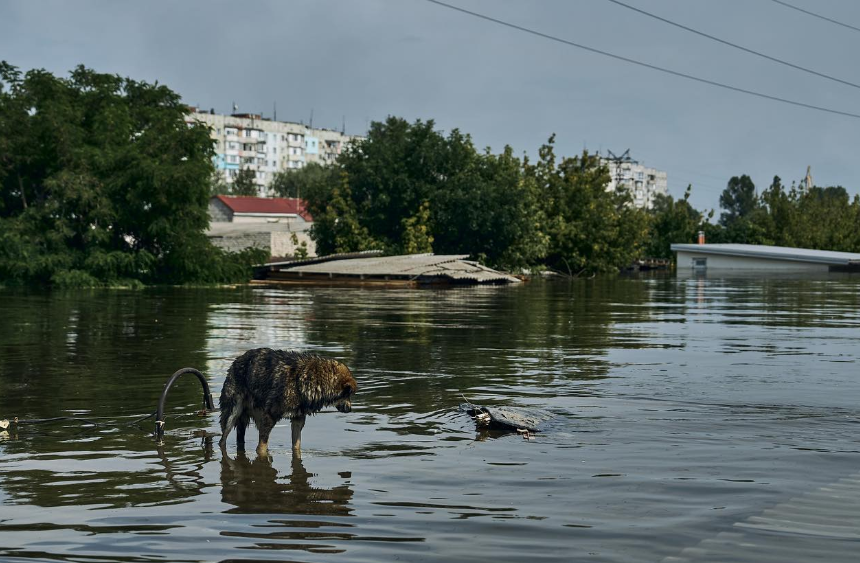 Новини Тернополя - фото з Кухар з Тернополя годуватиме евакуйованих на Херсонщині: просить підтримати збір на продукти