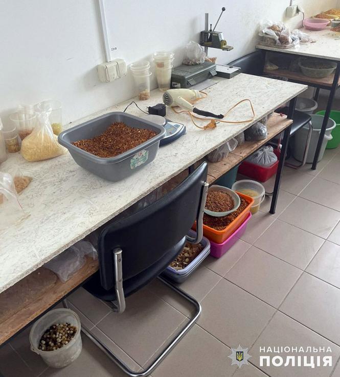 Новини Хмельницького - фото з Поліція викрила хмельничан, які незаконно торгували бурштином