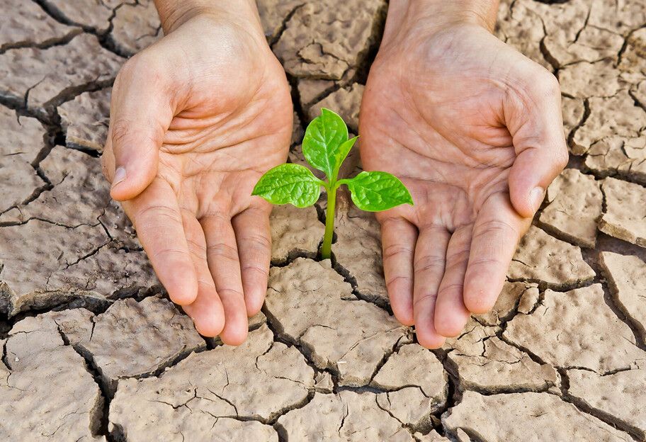 Новини Тернополя - фото з Сьогодні, 17 червня: все про цей день, що не можна робити, кого вітати з іменинами