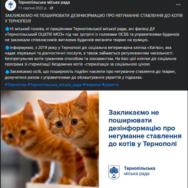Новини Тернополя - фото з Для котів не місце у підвалах – каже влада. Але де їм тоді жити і що робити мешканцям?