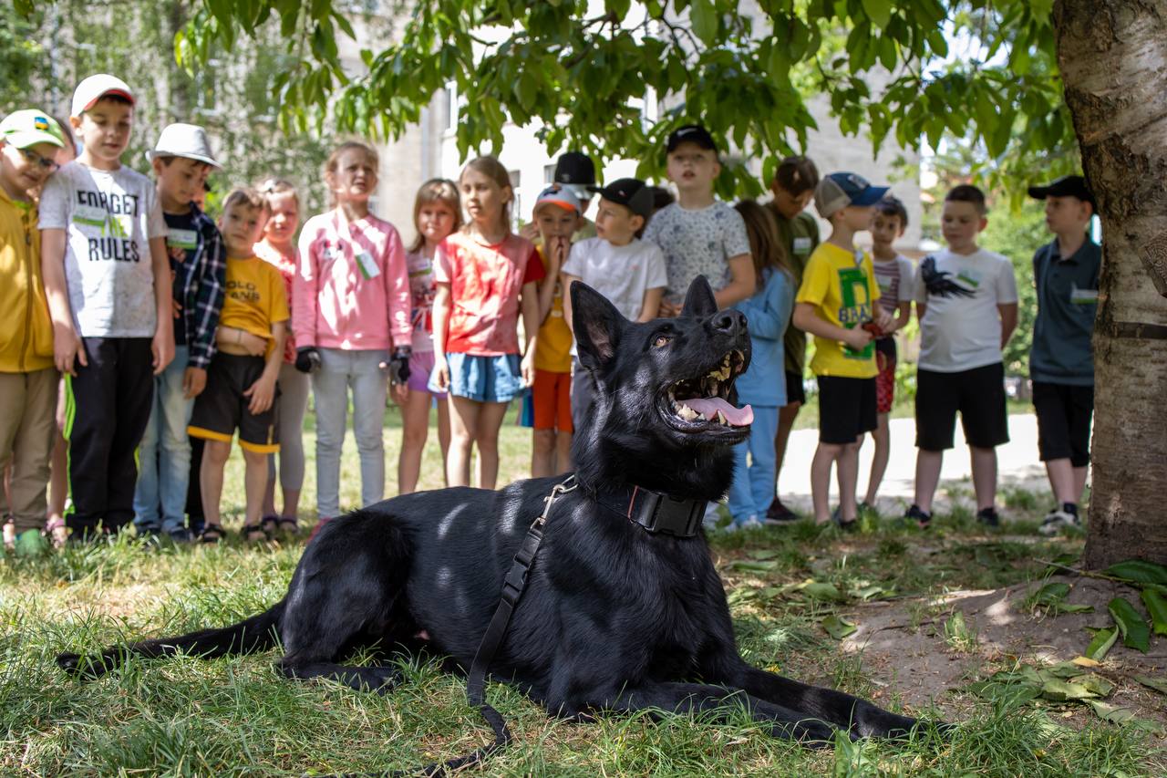 Новини Тернополя - фото з Службовий собака-поліціянт розважав дітлахів у літньому таборі (ФОТО)