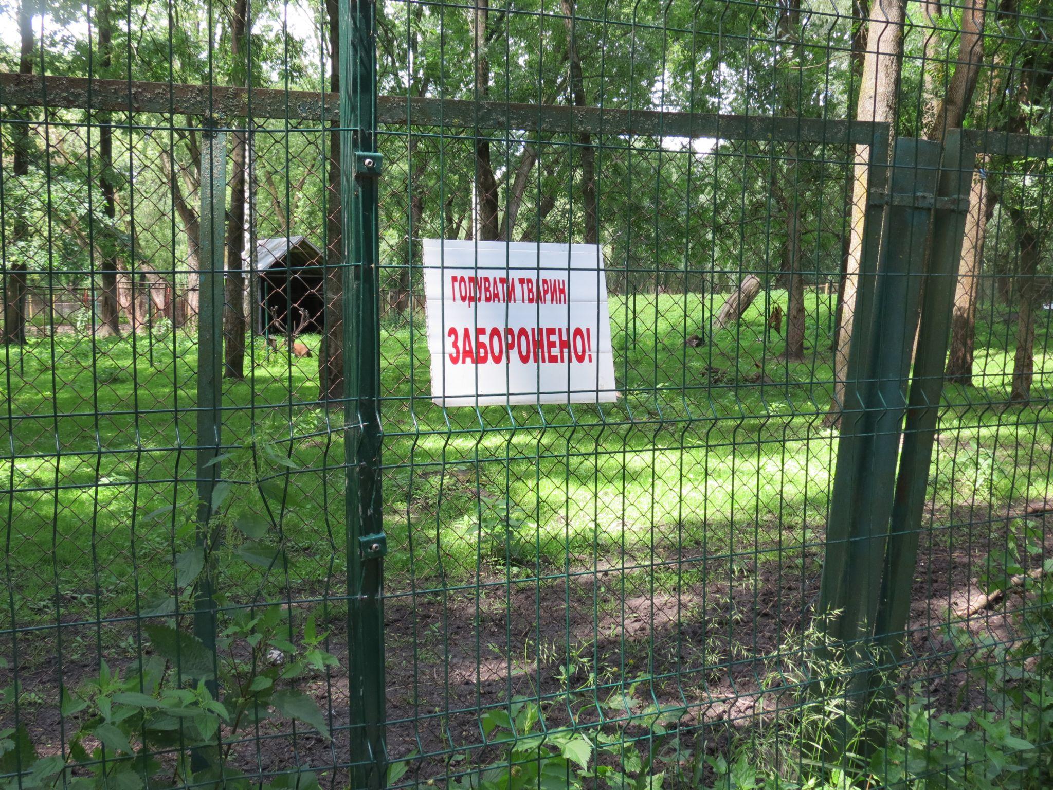 Новини Тернополя - фото з Дізнались долю тварин із зоокутка в «Сопільче»: хто купив їх та за скільки?