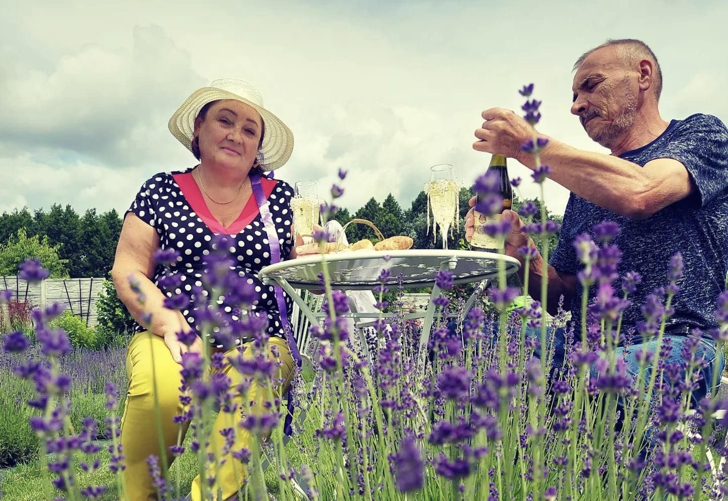 Новини Вінниці - фото з Замість городу — лавандові поля. Як вінничани на присадибних ділянках організували запашні фотозони