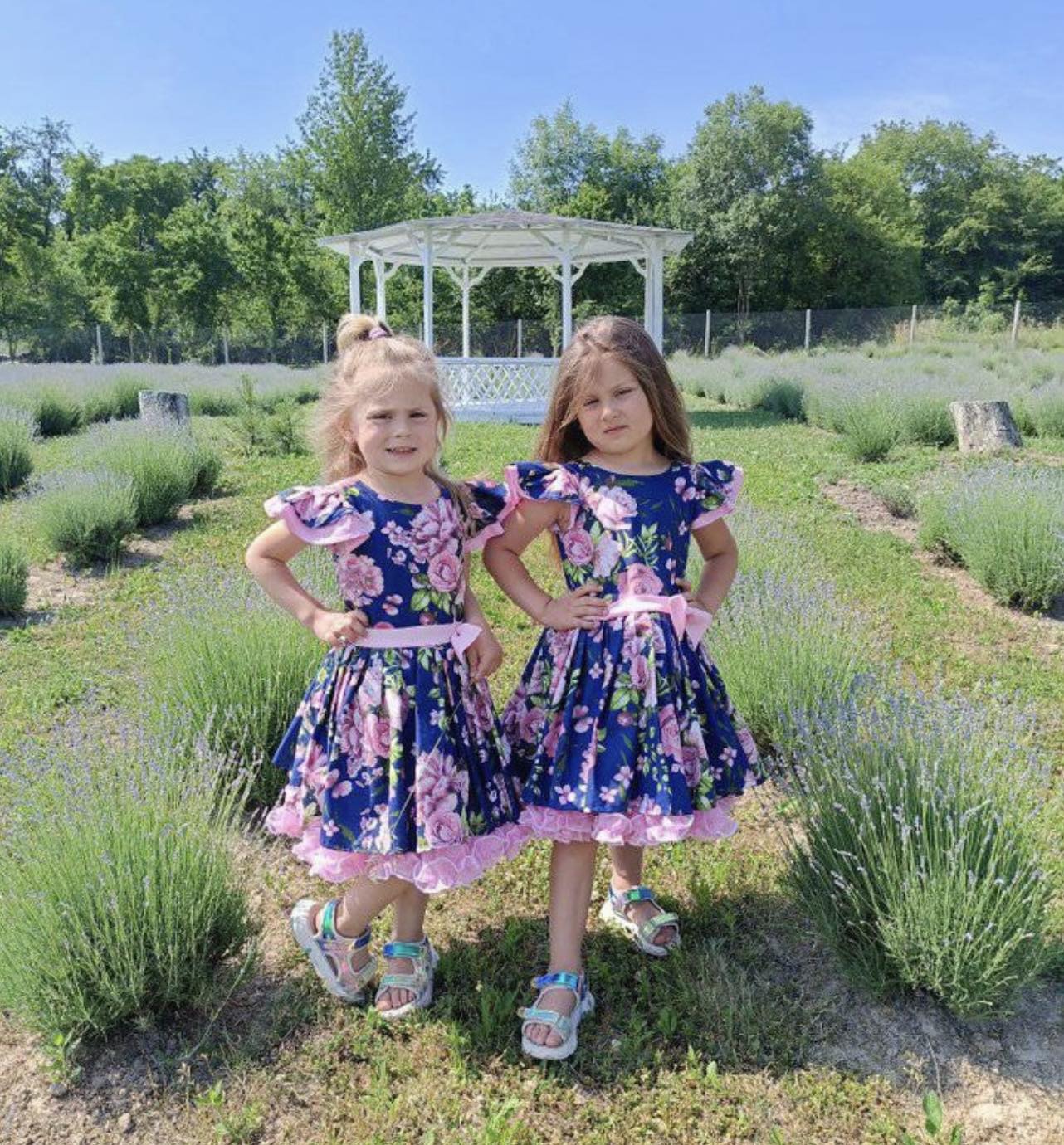 Новини Вінниці - фото з Замість городу — лавандові поля. Як вінничани на присадибних ділянках організували запашні фотозони