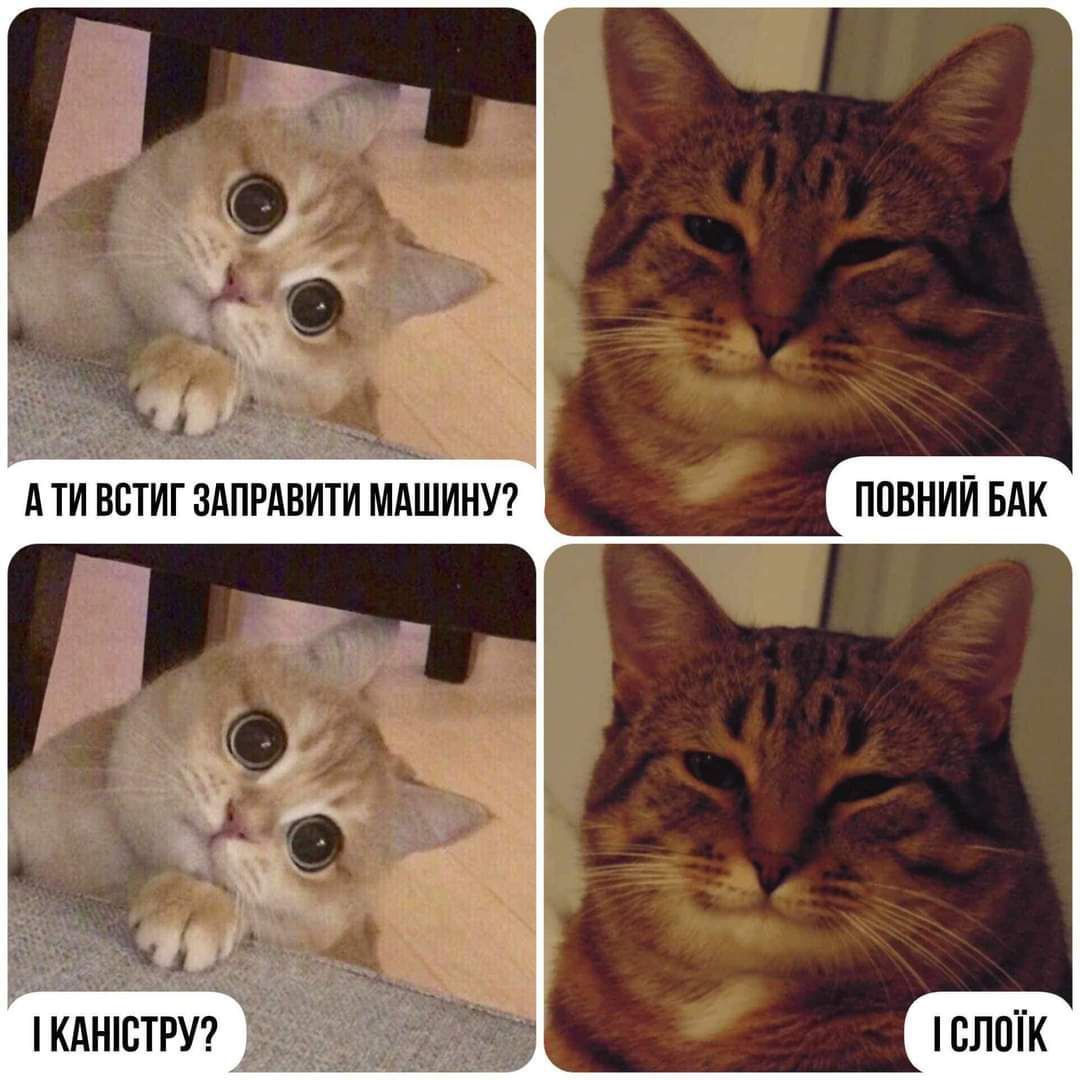 Новини Вінниці - фото з Щоб не плакати, ми сміялись: добірка нових мемів про війну