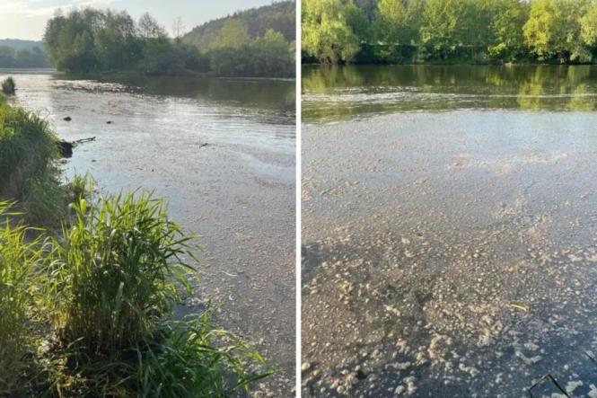 Поліція розслідує забруднення Південного Бугу. Справу завели через наше відео