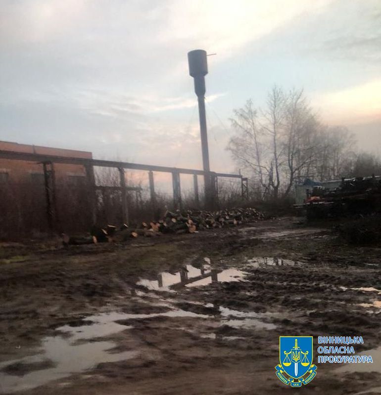 Новини Вінниці - фото з Вирубали дерев на мільйон гривень. На Вінниччині судитимуть злочинну групу