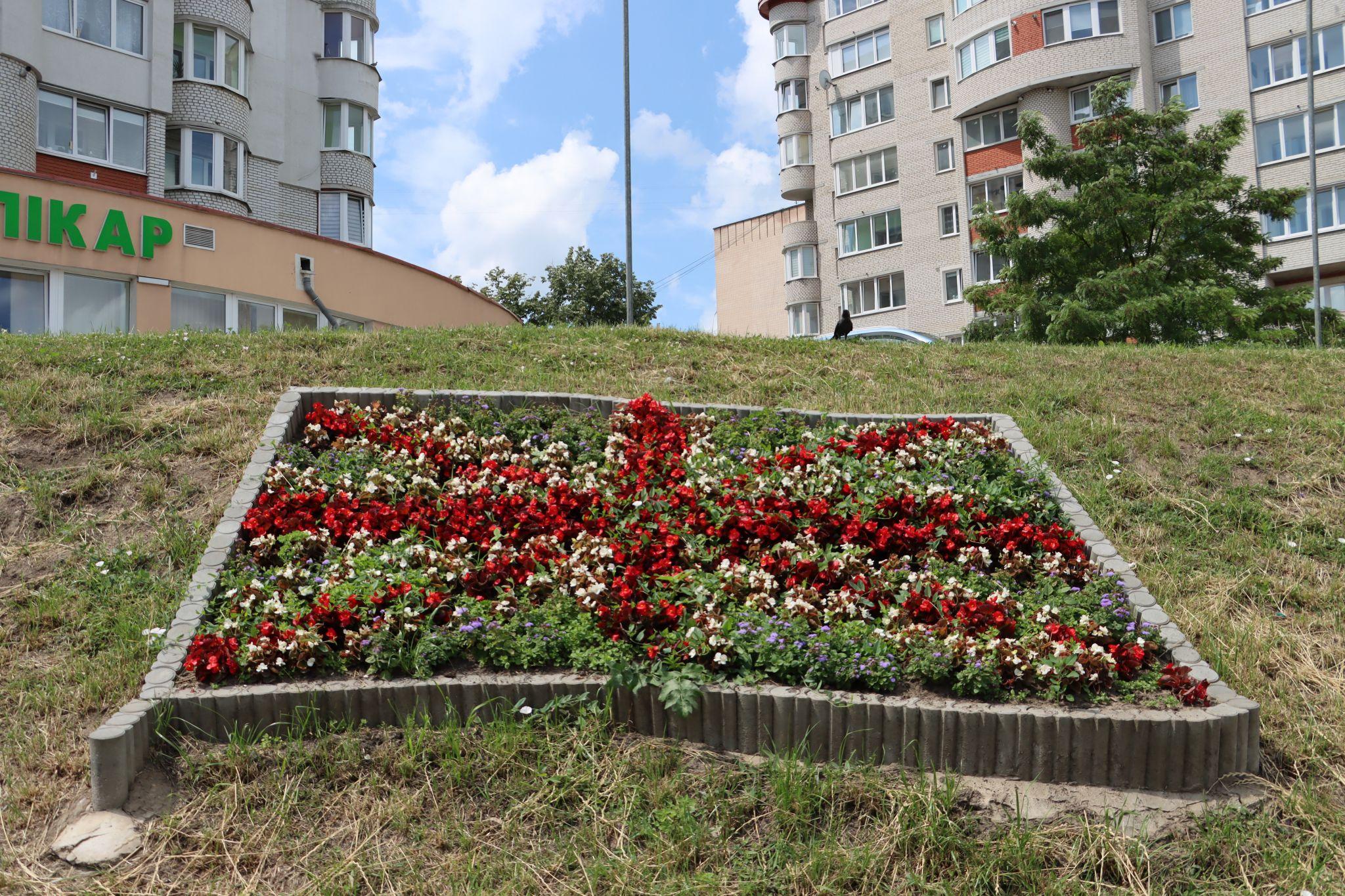 Новини Тернополя - фото з «Європейські» стяги квітнуть на Коновальця: фото дня