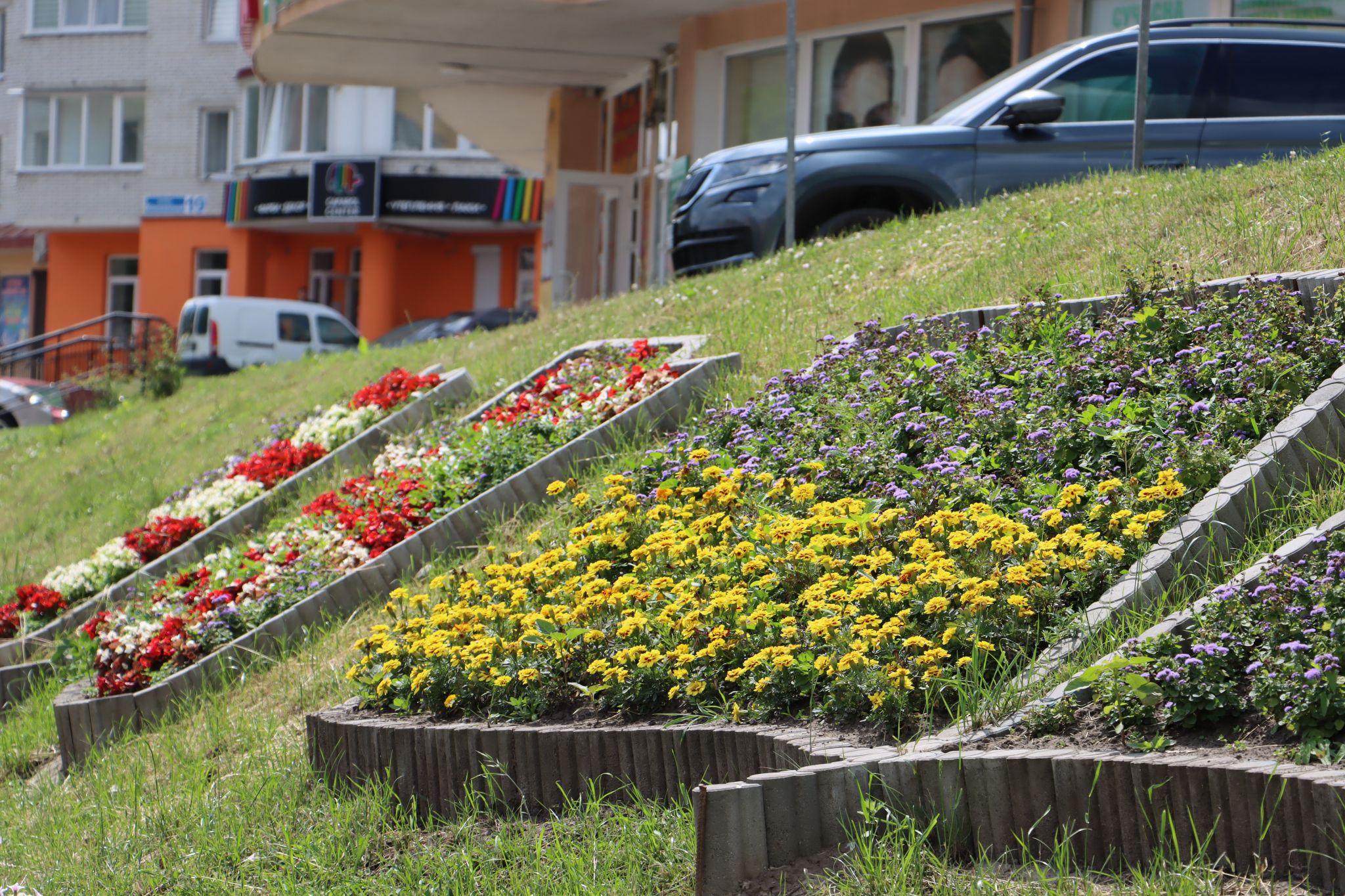 Новини Тернополя - фото з «Європейські» стяги квітнуть на Коновальця: фото дня