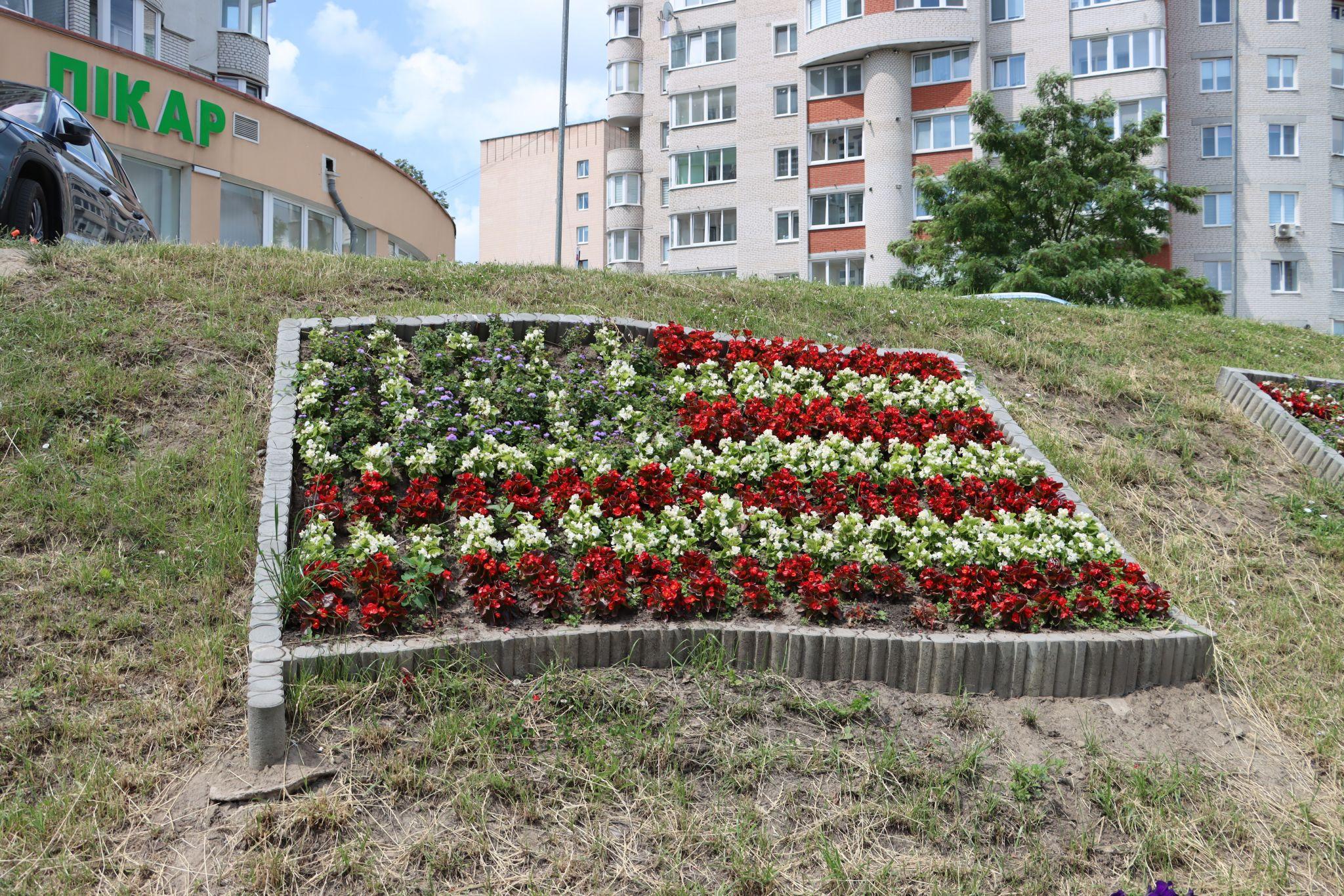Новини Тернополя - фото з «Європейські» стяги квітнуть на Коновальця: фото дня