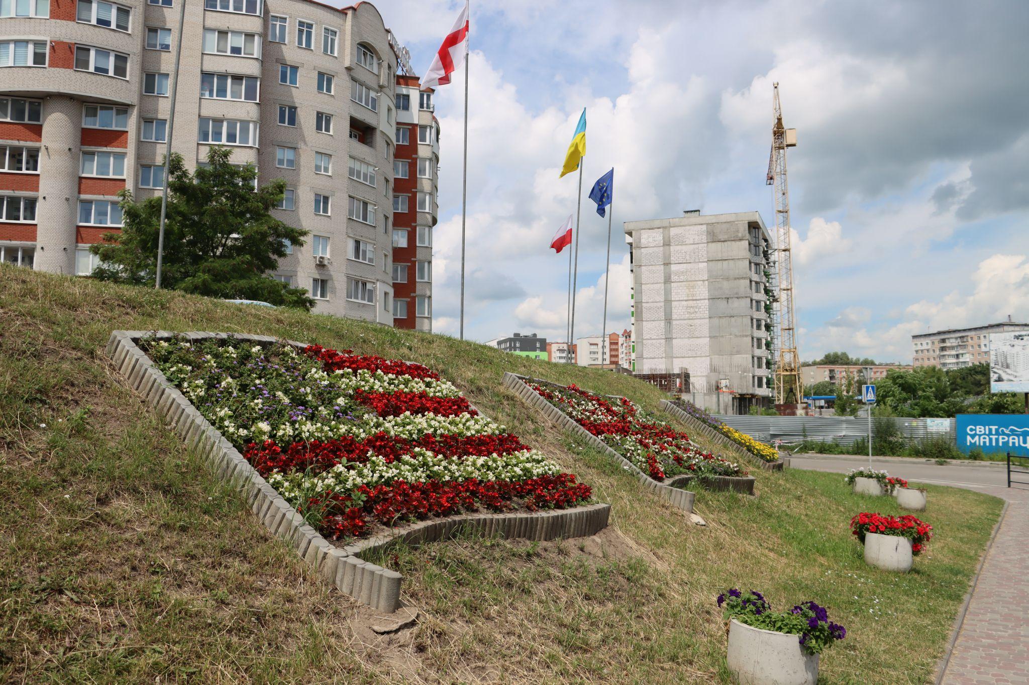 Новини Тернополя - фото з «Європейські» стяги квітнуть на Коновальця: фото дня