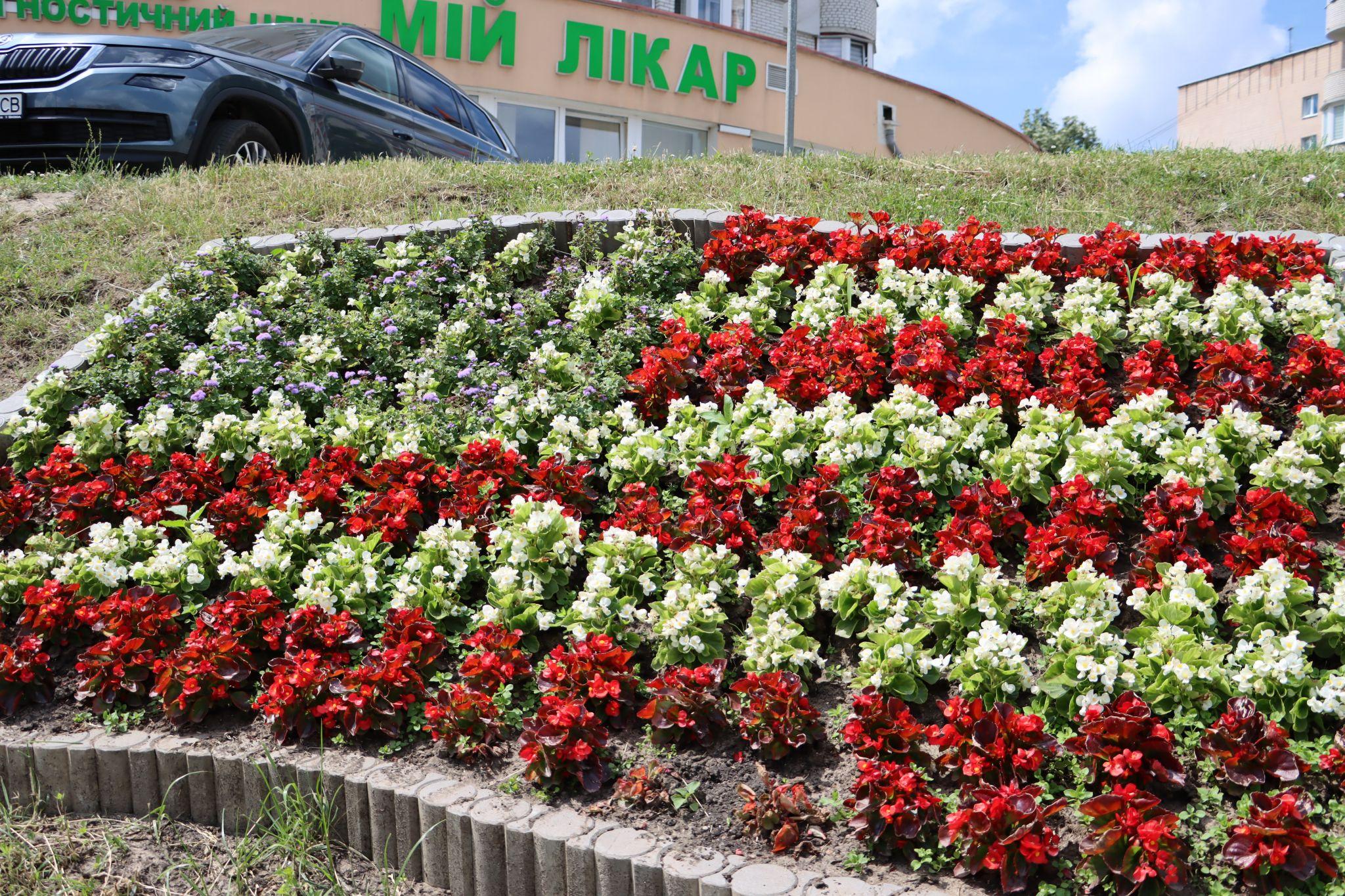 Новини Тернополя - фото з «Європейські» стяги квітнуть на Коновальця: фото дня