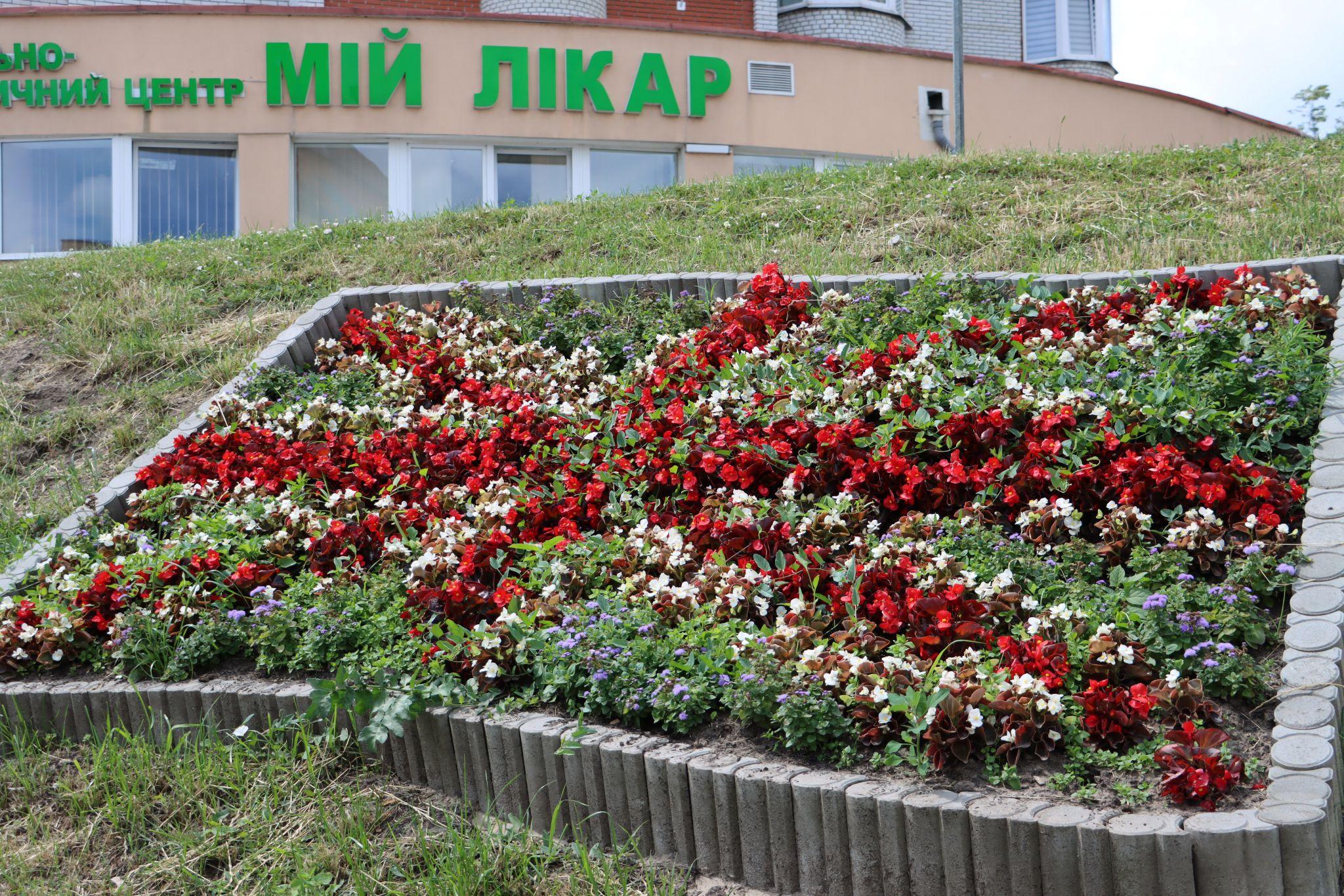 Новини Тернополя - фото з «Європейські» стяги квітнуть на Коновальця: фото дня