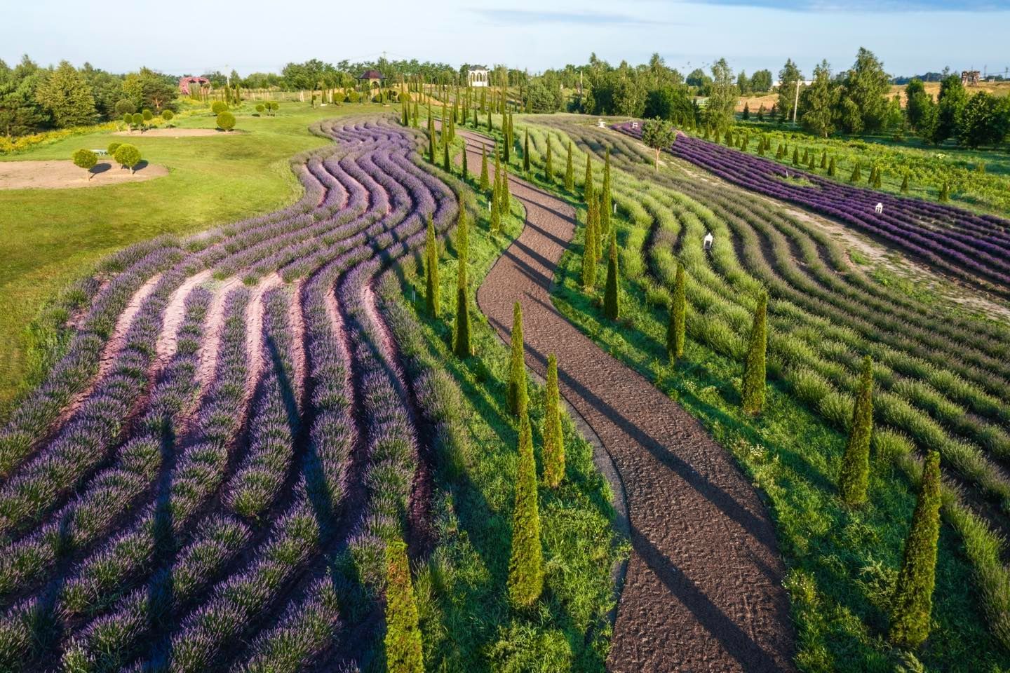 Новини Вінниці - фото з Офіс туризму Вінниці запрошує у захопливий тур «Дива ботаніки та загадки історії»