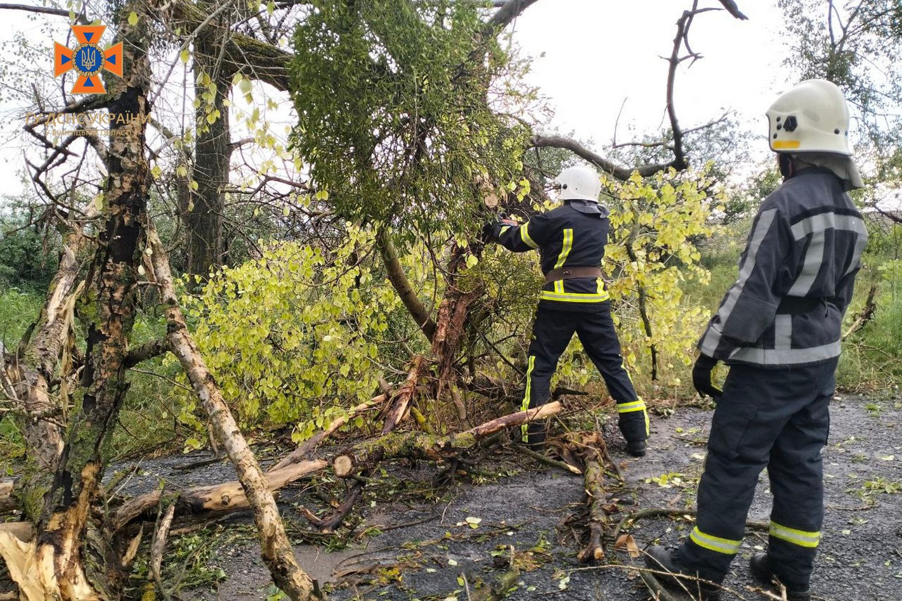 Новини Вінниці - фото з Буревій потрощив дерева. Рятувальники Вінниччини ліквідували наслідки негоди