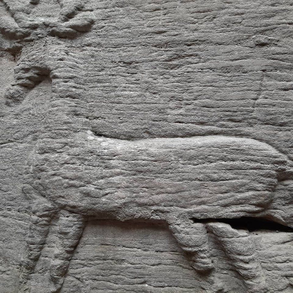 Новини Вінниці - фото з «Цей храм відомий у всьому світі». У Буші зняли фільм про підземну знахідку ХIХ століття