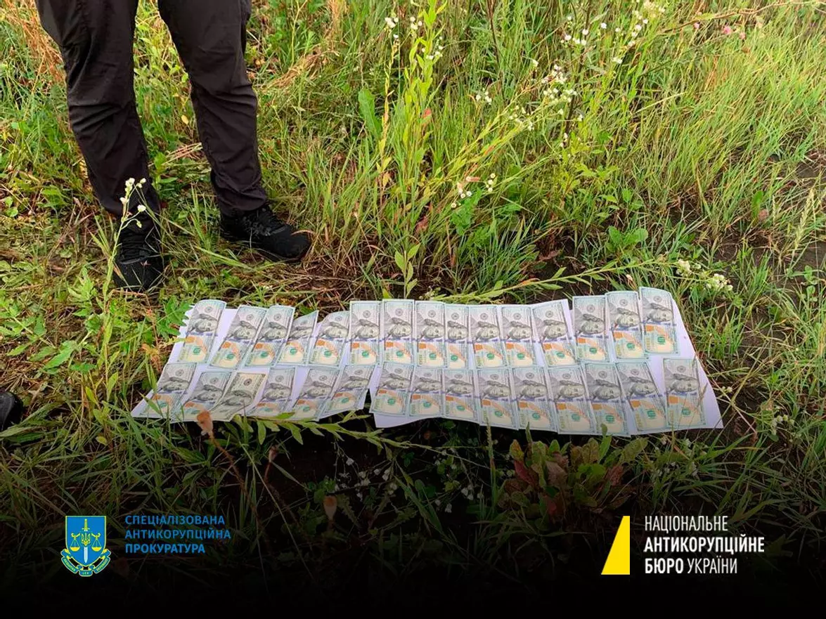 Новини Тернополя - фото з Як нардепка з Тернопільщини викидала хабар за паркан: НАБУ оприлюднило відео