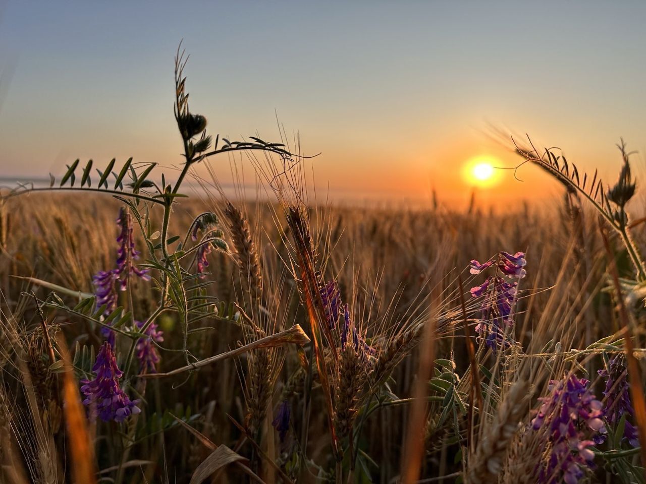 Новини Тернополя - фото з Від помічника капітана дальнього плавання — до навідника: історія тернопільського артилериста