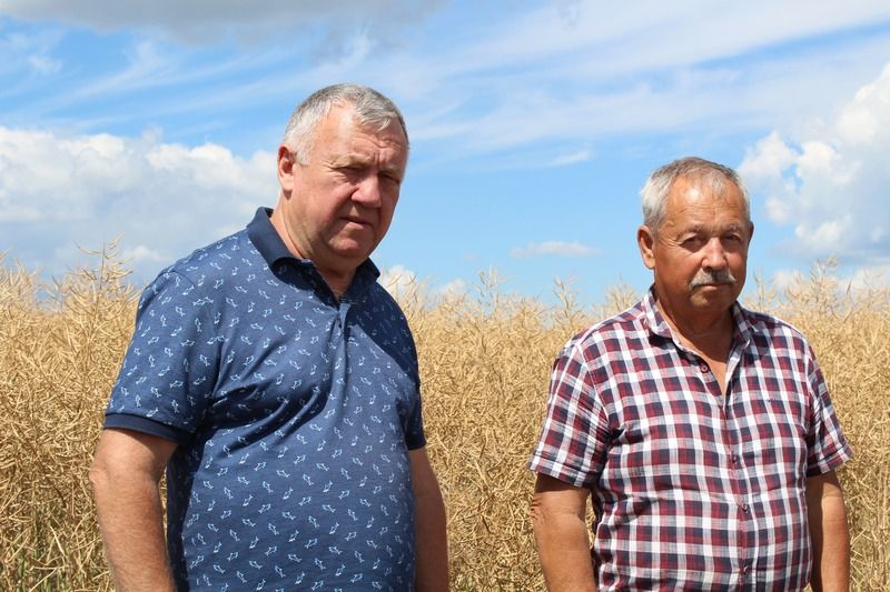 Новини Вінниці - фото з Урожай буде не нижче торішнього. Вінниччина збирає озиму пшеницю