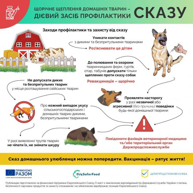 Новини Вінниці - фото з Сказ небезпечний і для тварин, і для людей. Про небезпеку хвороби та його профілактику