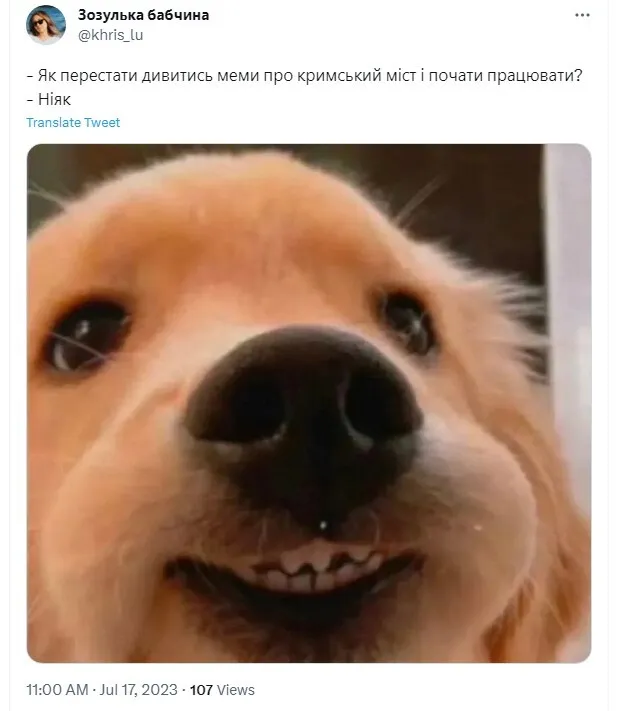 Новини Хмельницького - фото з "Шойгу, Герасимов, де шматок мосту?" Меми та фотожаби заполонили соцмережі