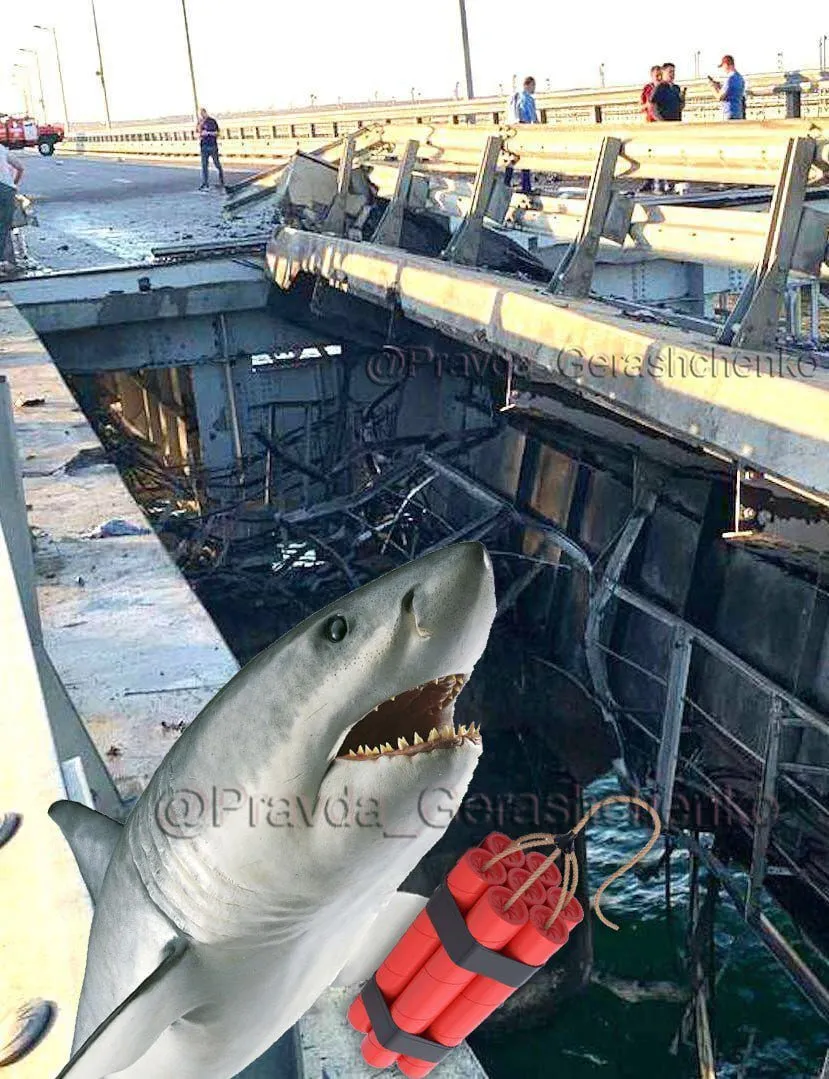 Новини Хмельницького - фото з "Шойгу, Герасимов, де шматок мосту?" Меми та фотожаби заполонили соцмережі