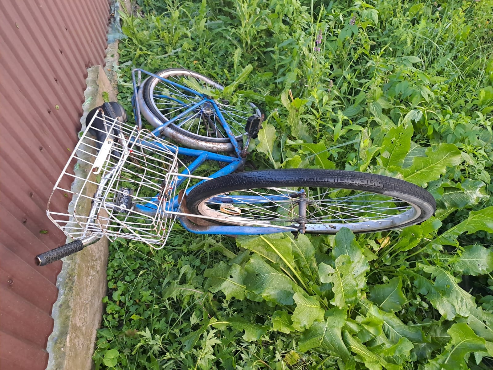 Новини Хмельницького - фото з ДТП з велосипедистами: травмувались чоловік та жінка