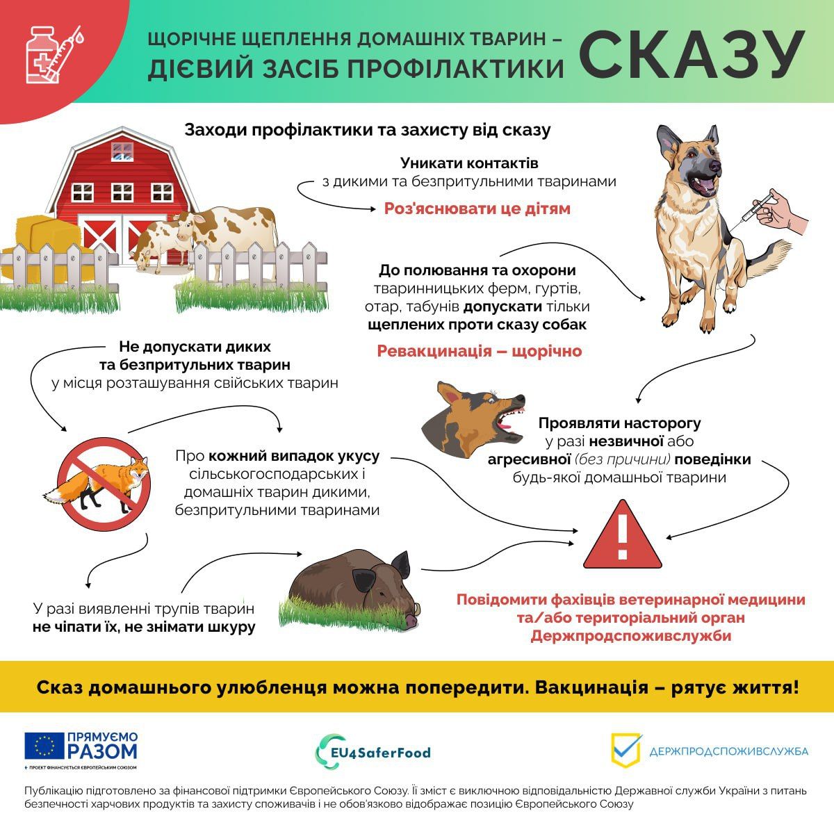 Новини Тернополя - фото з Тернополян закликають вакцинувати тварин від сказу. Де та коли роблять щеплення безкоштовно