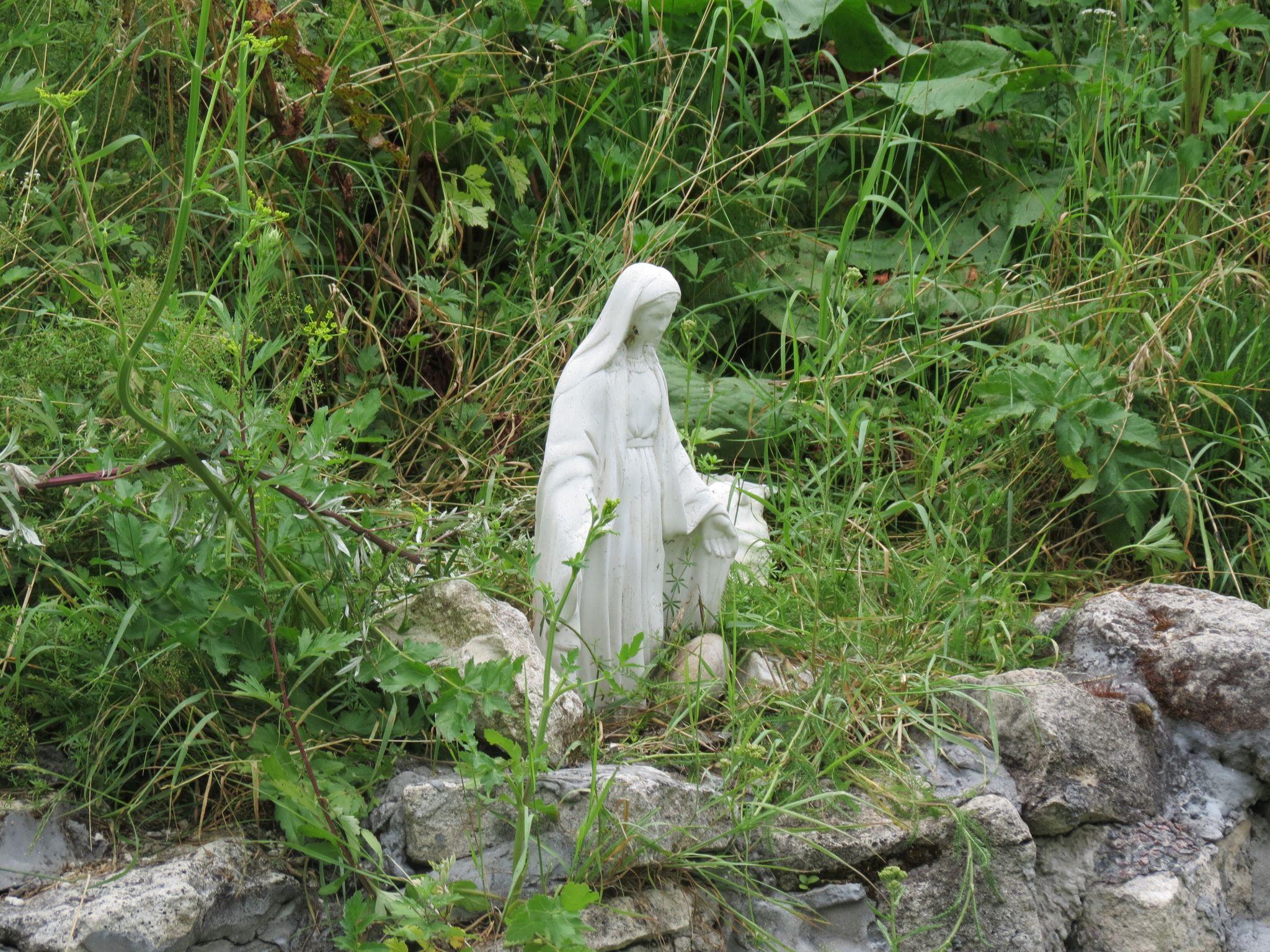 Новини Тернополя - фото з Чи комфортно та чисто? Ми перевірили стан тернопільських пляжів