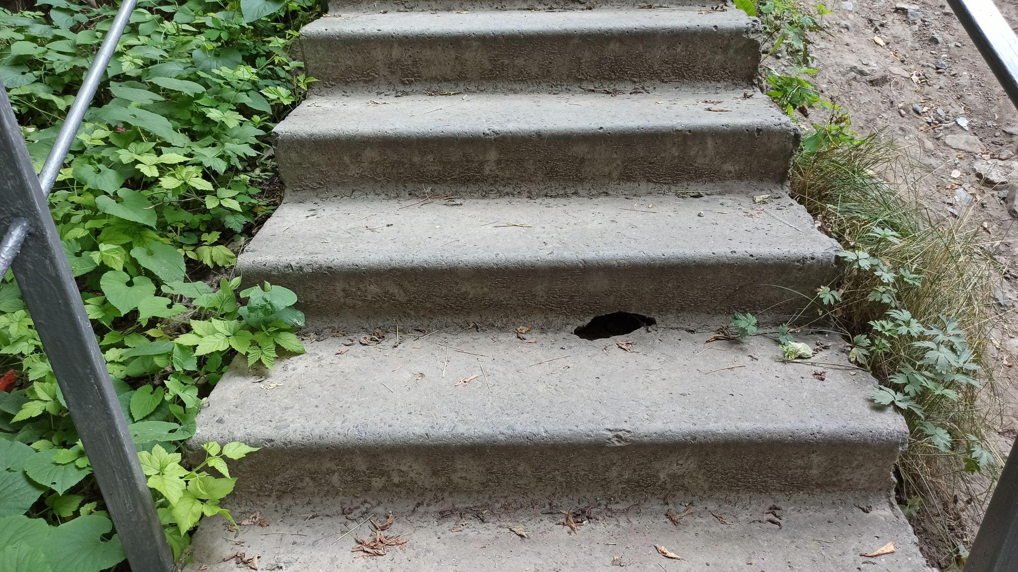 Новини Тернополя - фото з Оновили сходи неподалік «Циганки»: як виглядають зараз?