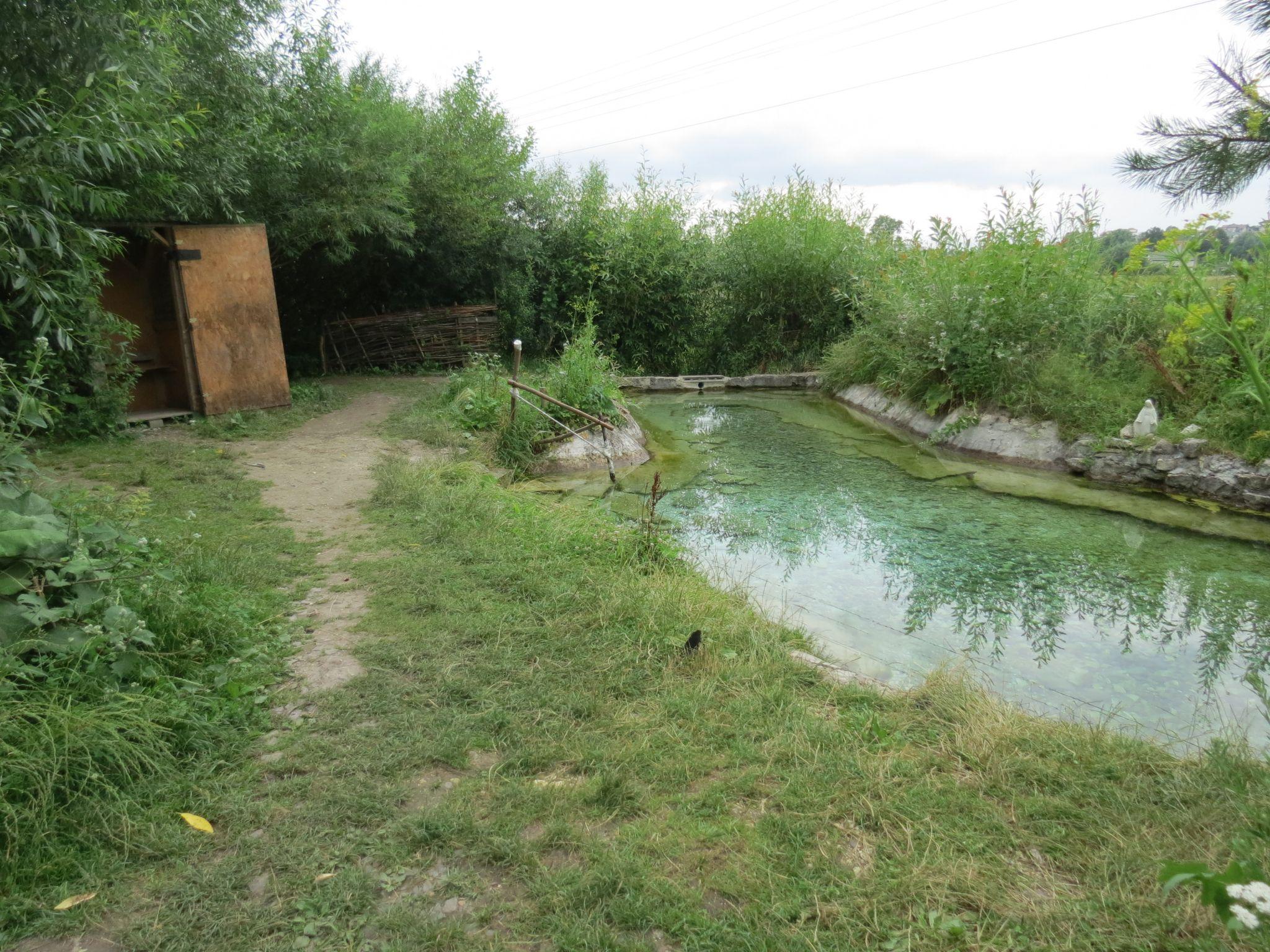 Новини Тернополя - фото з Чи комфортно та чисто? Ми перевірили стан тернопільських пляжів